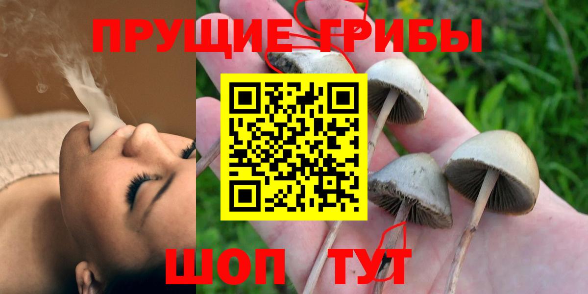 хочу   Вход с VPN  Коломна  Галлюциногенные грибы ЛСД 