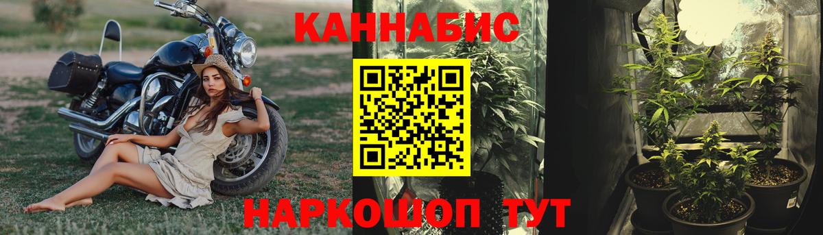 Марихуана сатива  Каннабис ГИДРОПОН  Шишки марихуана планчик  Вход с VPN  Коломна 